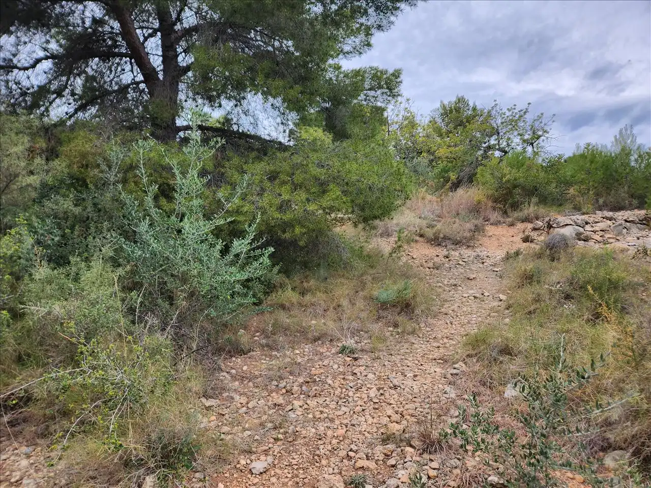 Residential land for sale in Pl Número 115, imagen 3