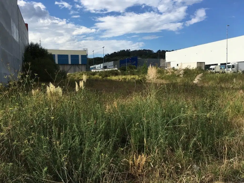 Terreny industrial en venda a Parroquias rurales, imagen 5