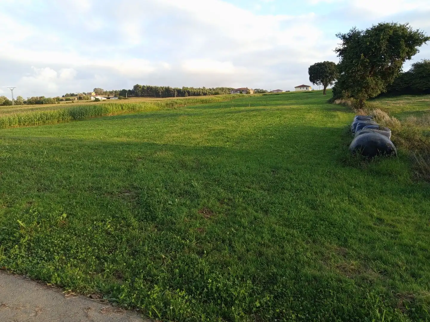 Terreny residencial en venda a Barrio el Mazo 29, imagen 3