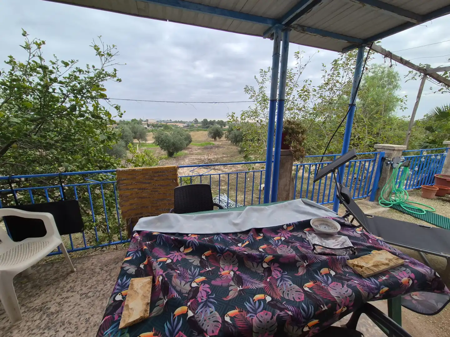 Finca rústica en venda en Las Torres de Cotillas amb Jardí privat, Terrassa i Traster