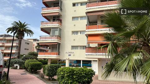 Foto 3 de Apartament per a compartir a Zona Botánico, Puerto de la Cruz