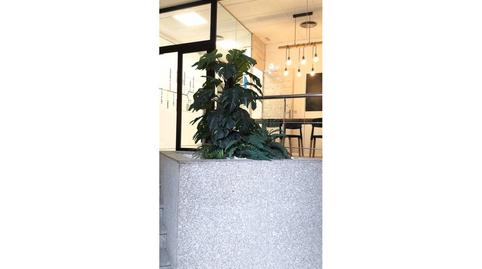 Photo 5 of Premises to rent in Pati, Valls, Tarragona