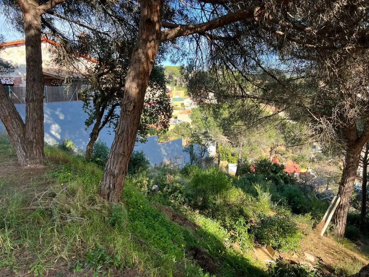 Wohnbaugrundstück zum Verkauf in CASTELLO 21