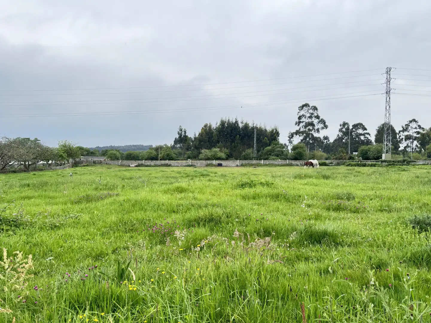 Casa o xalet en venda en Castrillón amb Calefacció, Jardí privat i Parquet