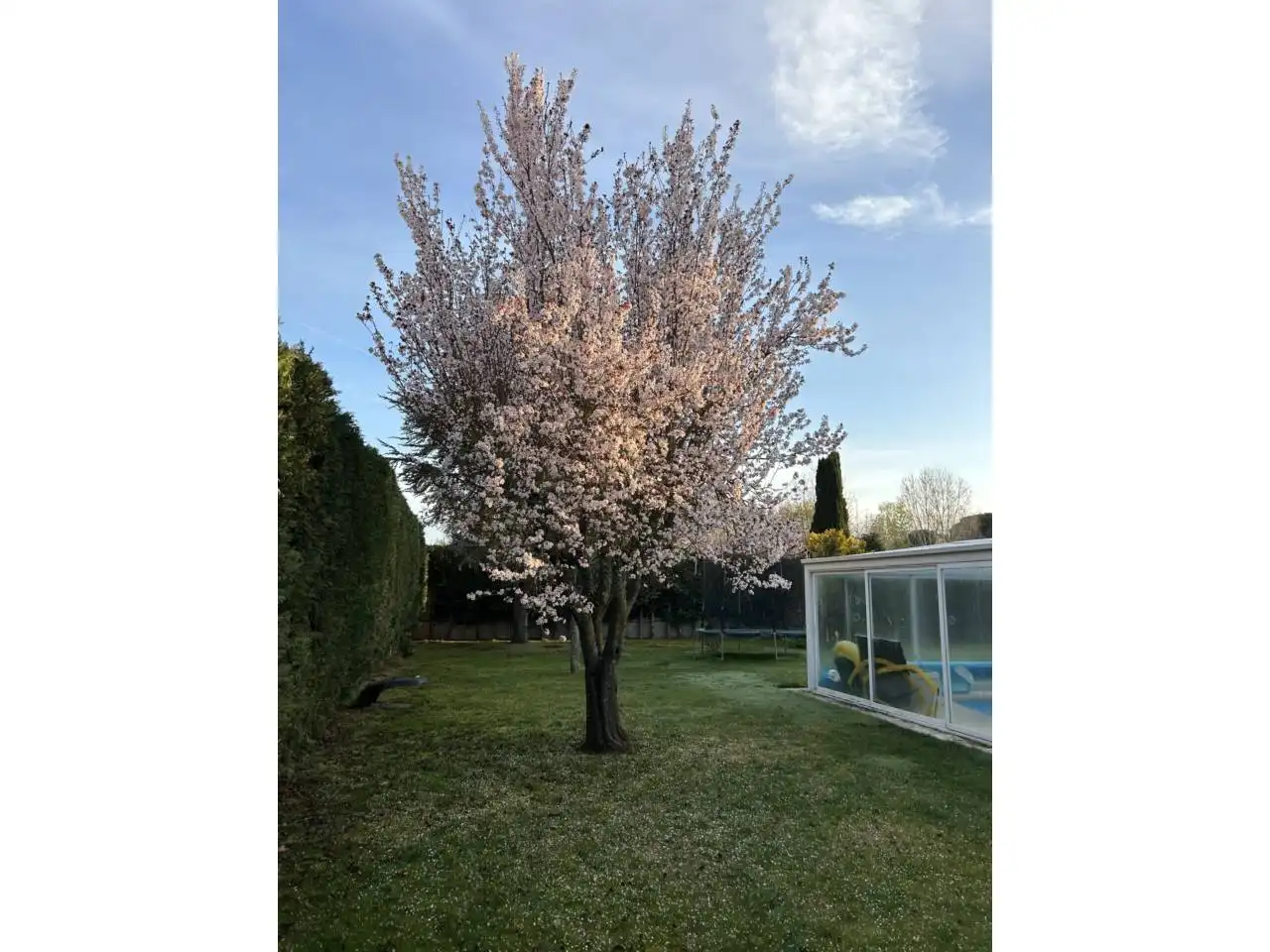 Jardín de Casa o chalet en venta en Castrillo del Val con Calefacción, Jardín privado y Terraza