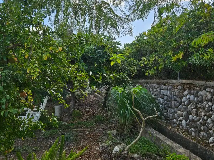 Country house zur Miete in Partida Cutxeret, 27, Callosa d'en Sarrià