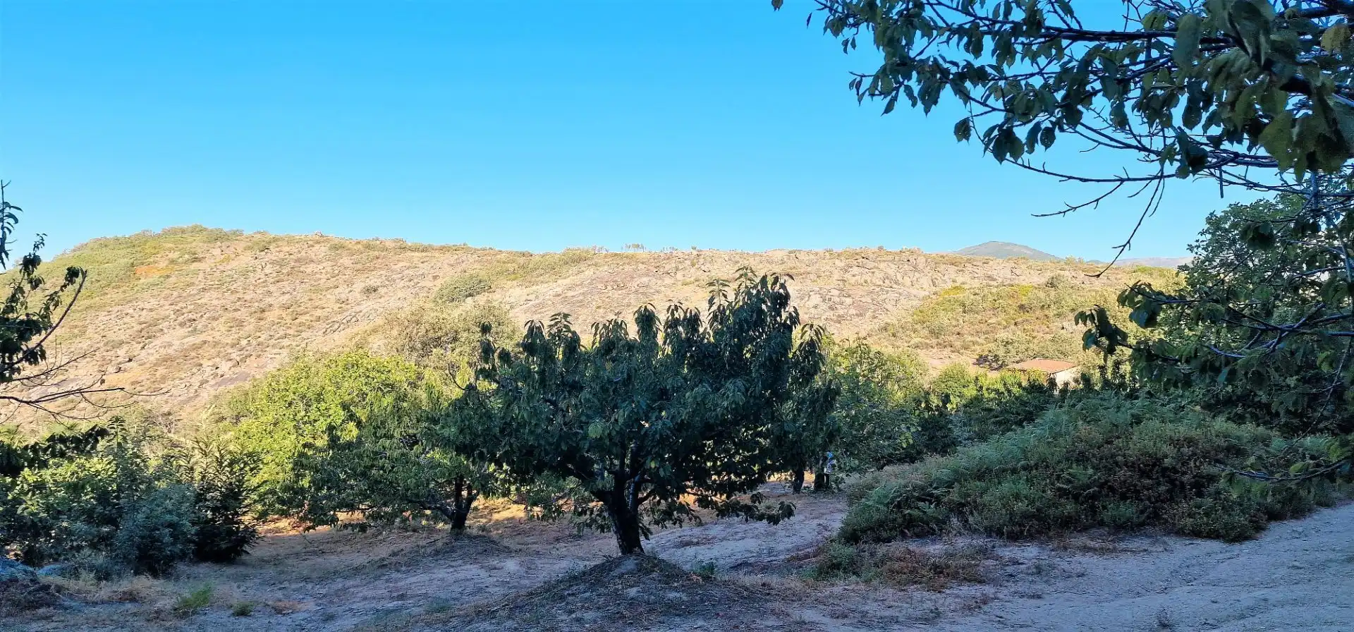 Terreni e lotti in vendita a Aldeanueva de la Vera, imagen 17