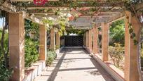 Jardí de Casa o xalet en venda en La Pobla de Vallbona amb Terrassa i Piscina