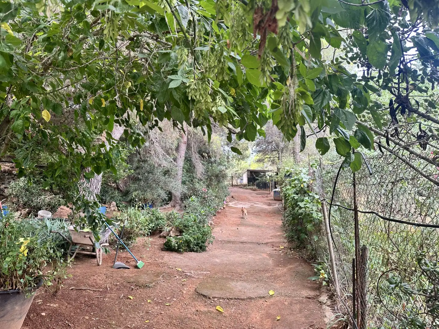 Xalet amb piscina en venda a Algar de Palància, imagen 13