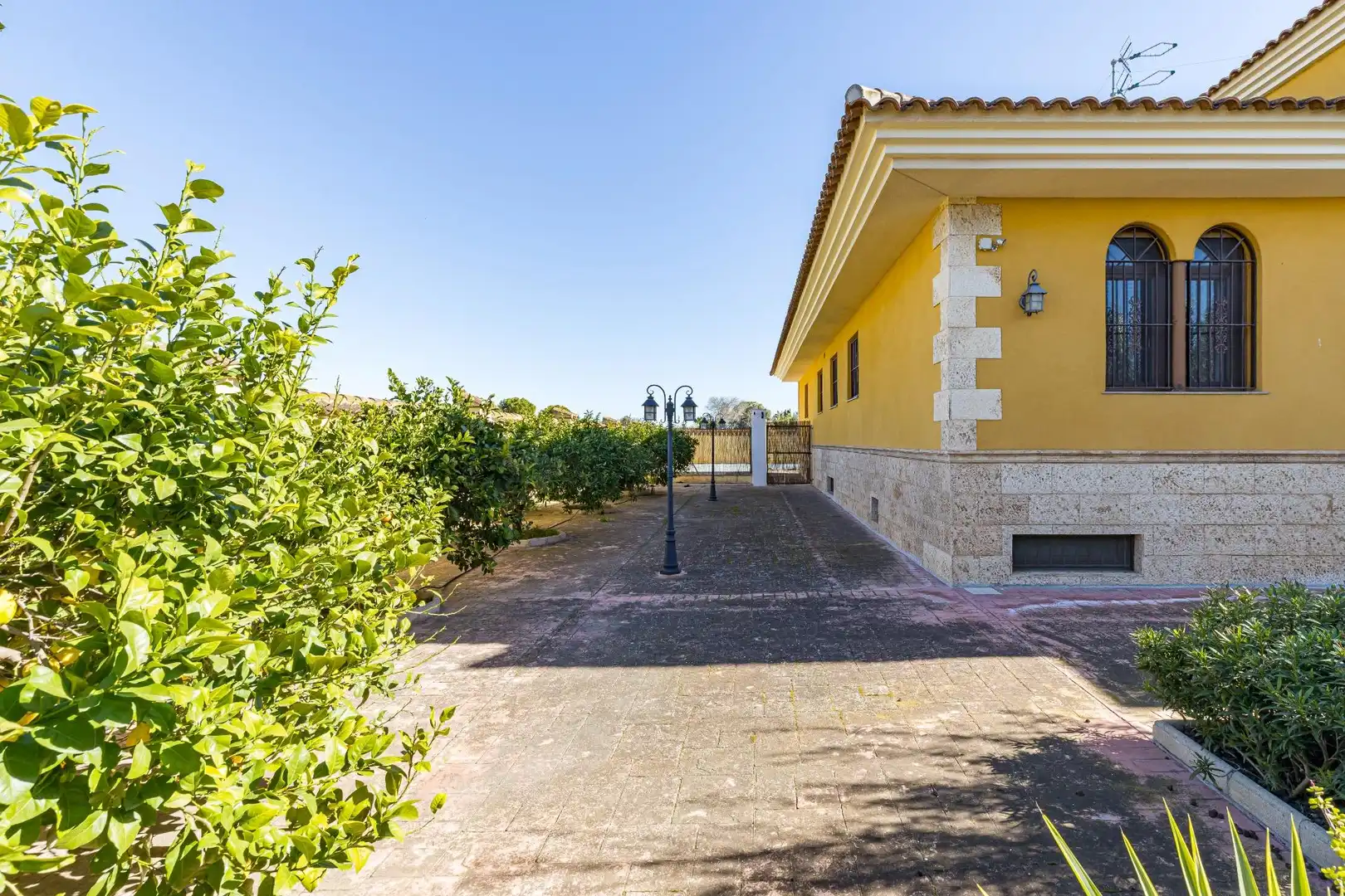 Vista exterior de Casa o chalet en venta en Murcia con Aire acondicionado, Calefacción y Jardín privado