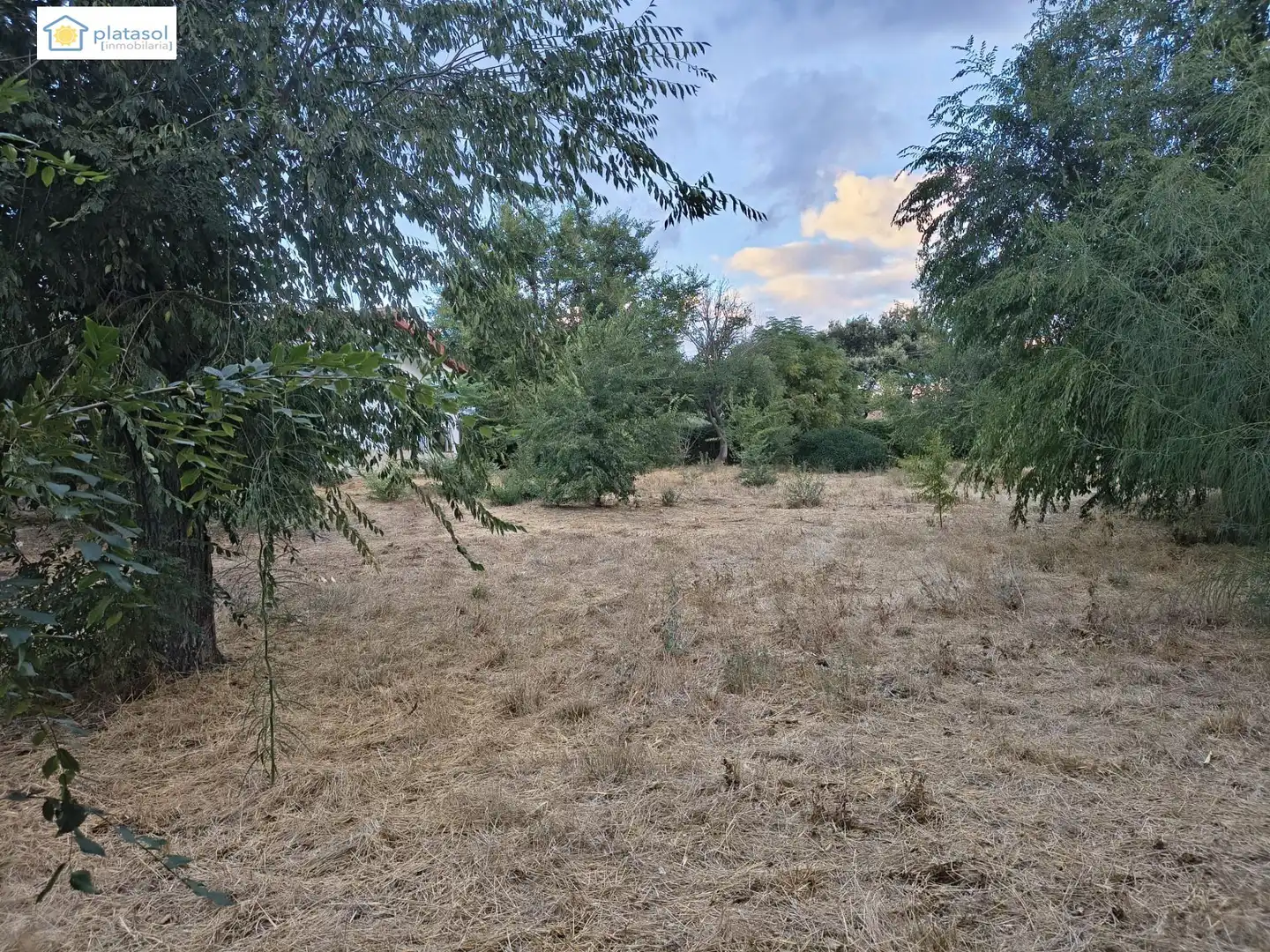 Terreno residenziale in vendita a ALCAUDON, imagen 7