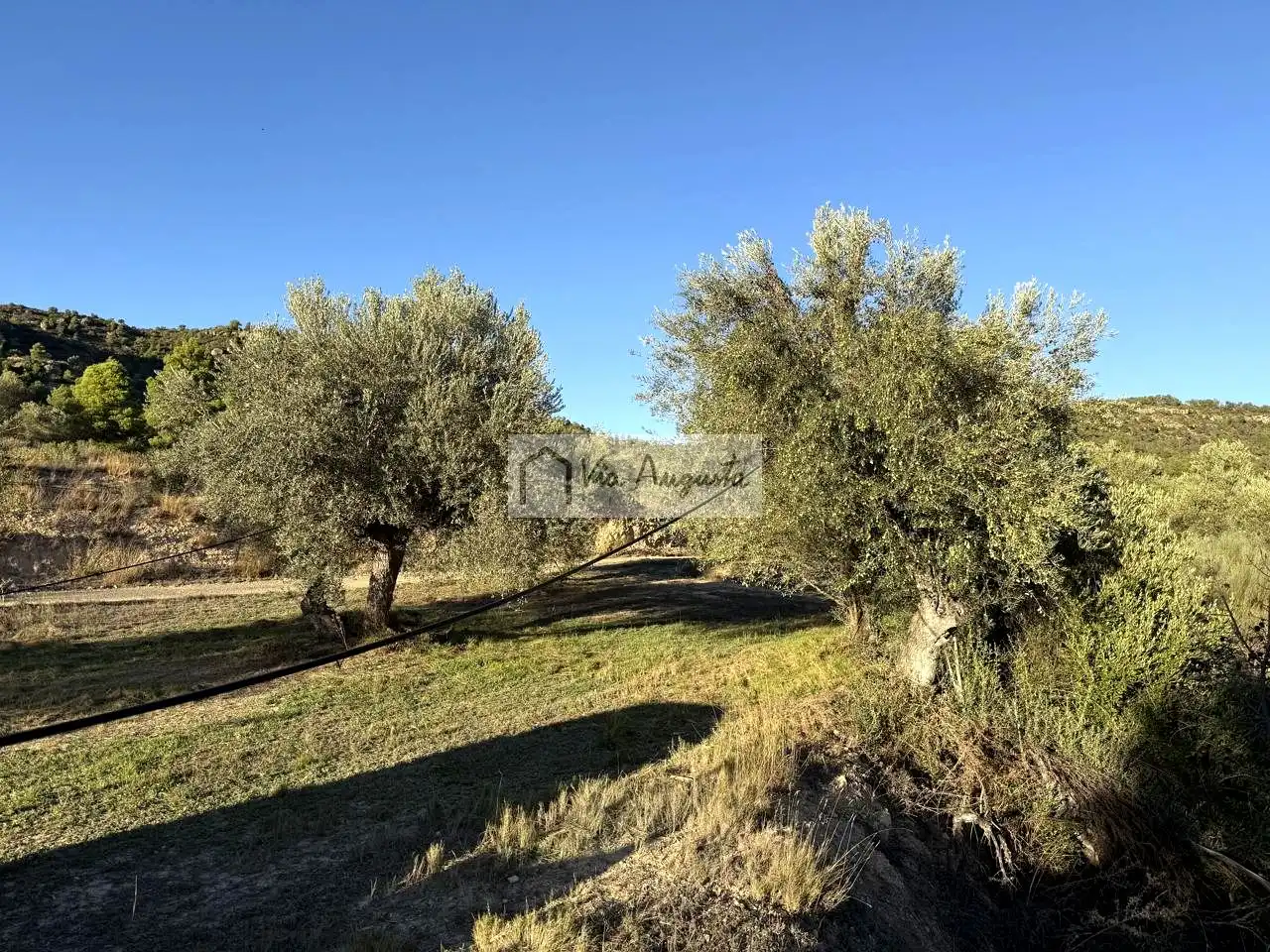 Terreno en venta en Vinebre