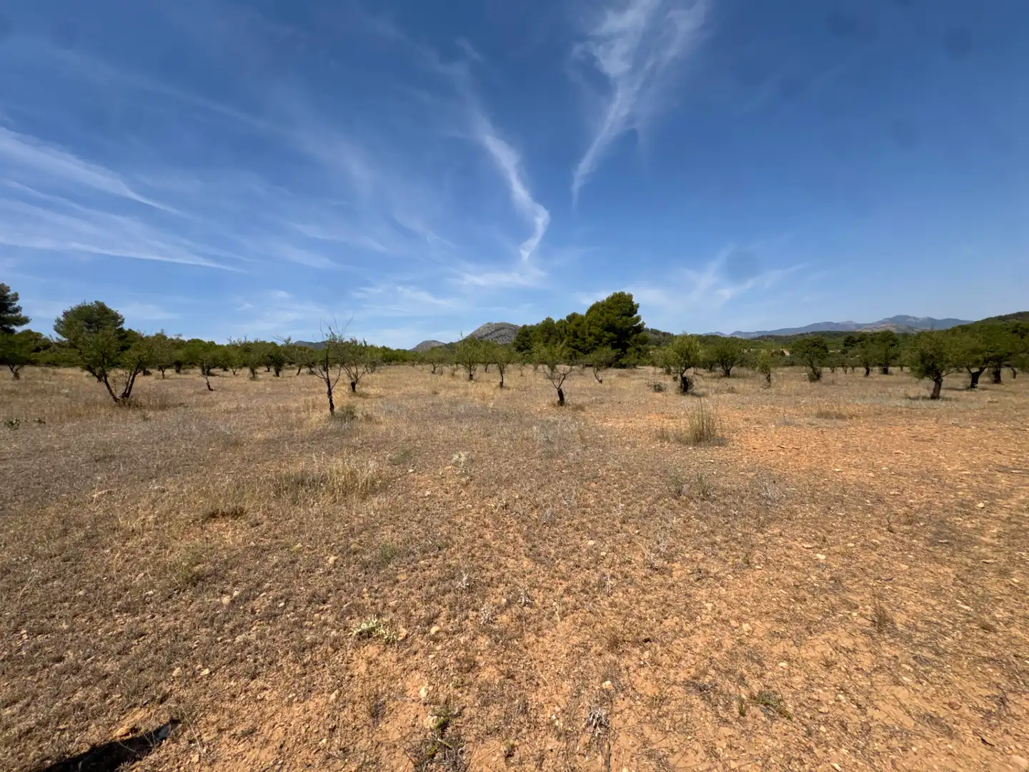 Rural land for sale in N/A, imagen 46
