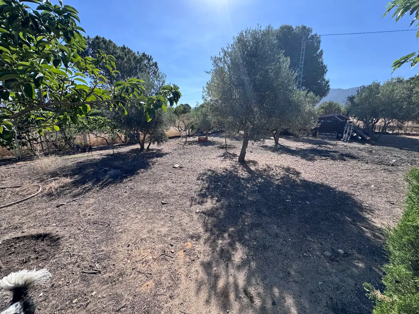 Finca rústica en venta en Villena con Aire acondicionado, Calefacción y Jardín privado