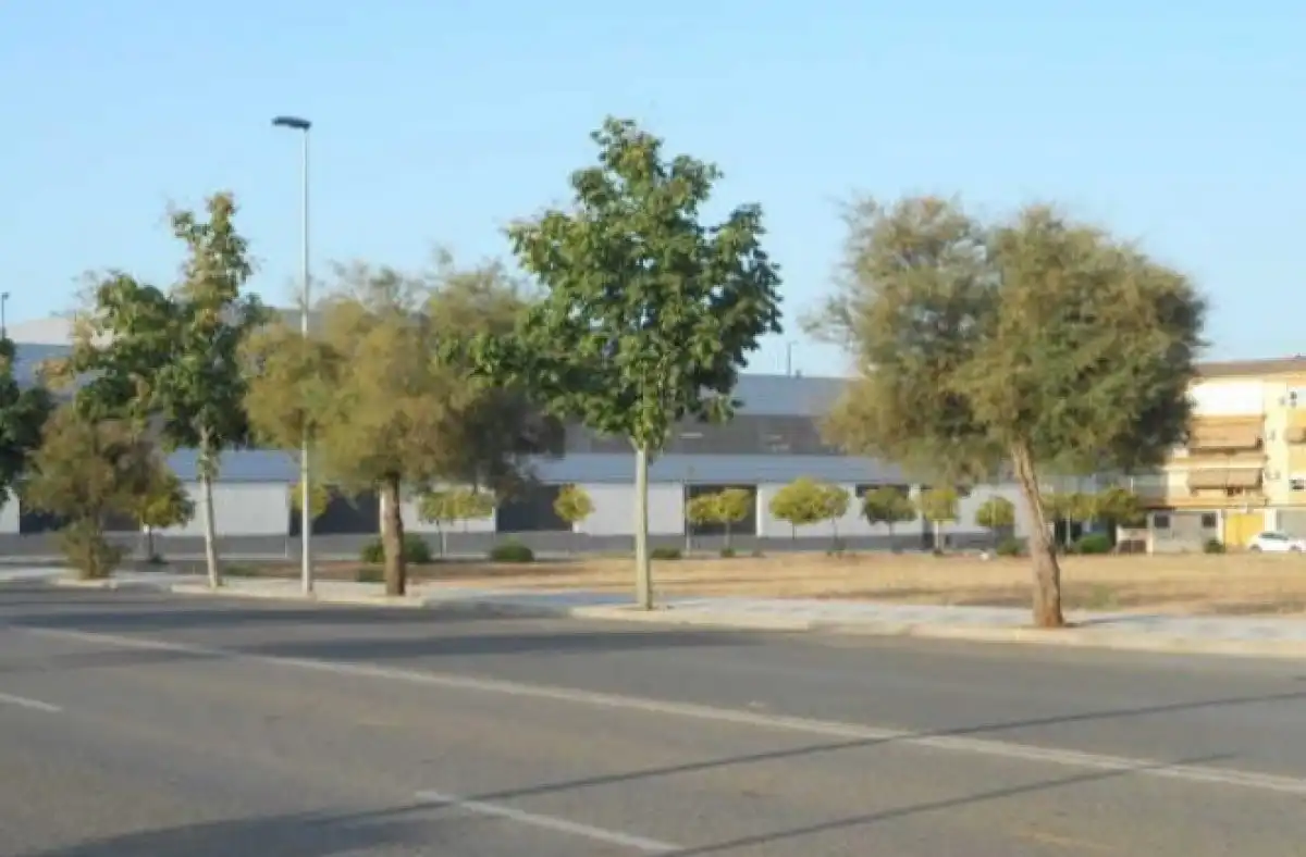Terreni e lotti in vendita a Andújar, imagen 4