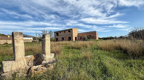 FINCA RUSTICA EN SELVA, immagine 4