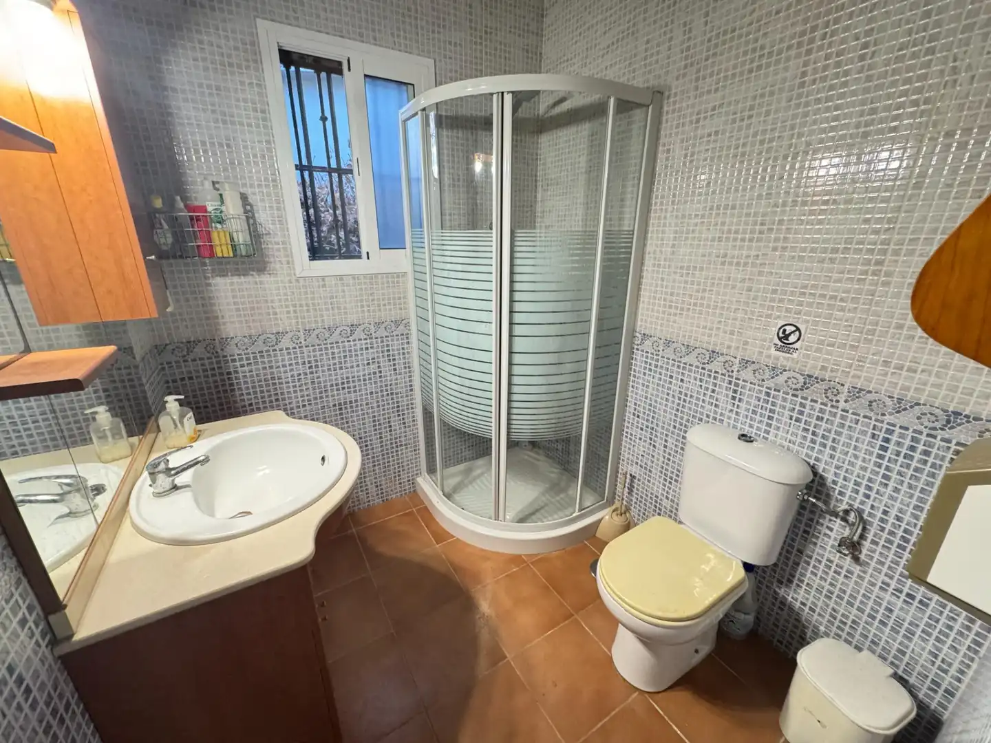 Baño de Casa o chalet en venta en Los Palacios y Villafranca con Jardín privado, Trastero y Piscina