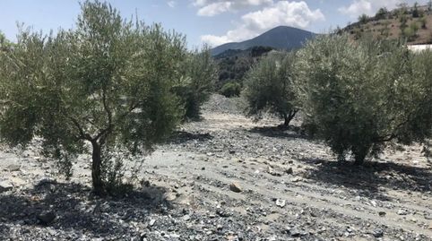 Photo 2 of Land for sale in Diseminado Nogalte, 58, Nogalte, Lorca