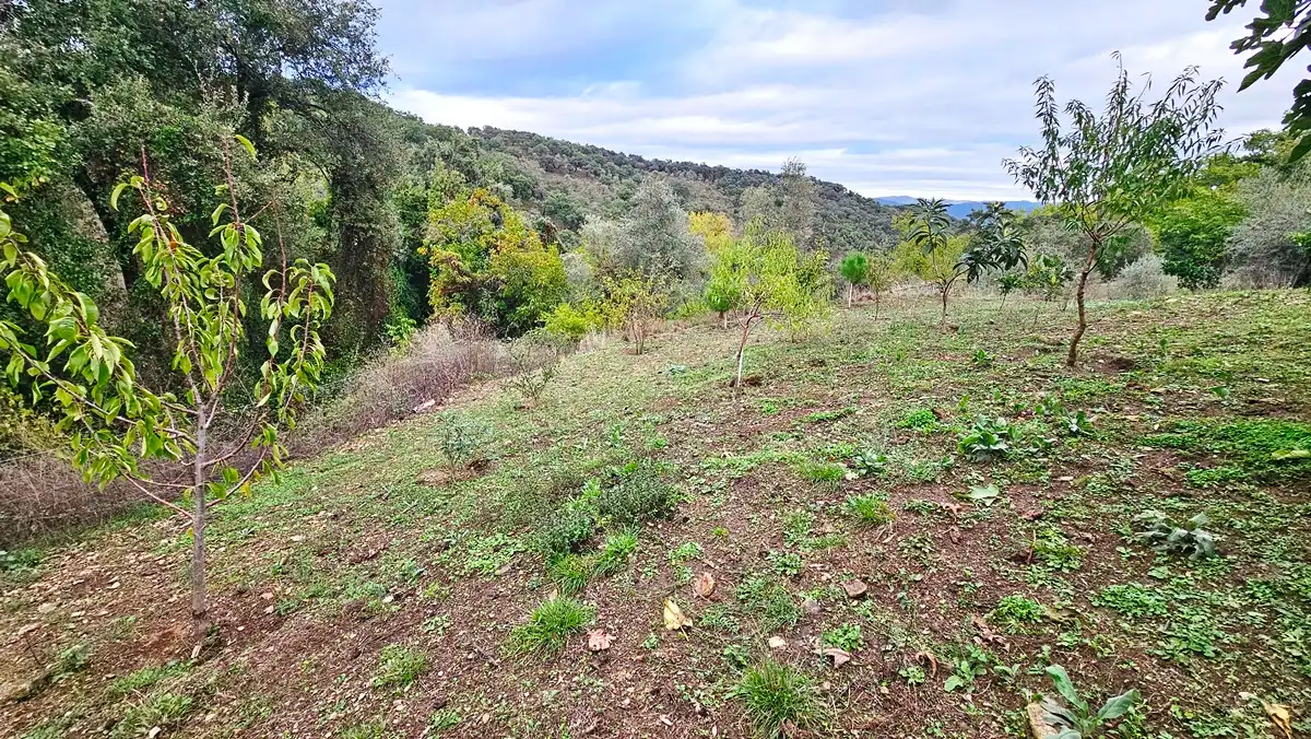 Houses for sale in Cortegana  with Private garden, Terrace and Storage room