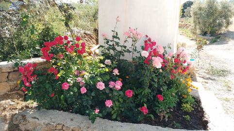 Photo 3 of Country house to rent in Partidas Norte, Ronda