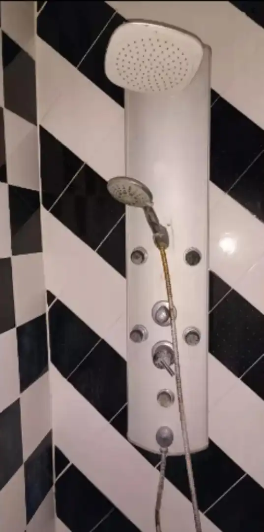 Bany de Apartament per a compartir en Castellón de la Plana / Castelló de la Plana amb Moblat, Forn i Rentadora