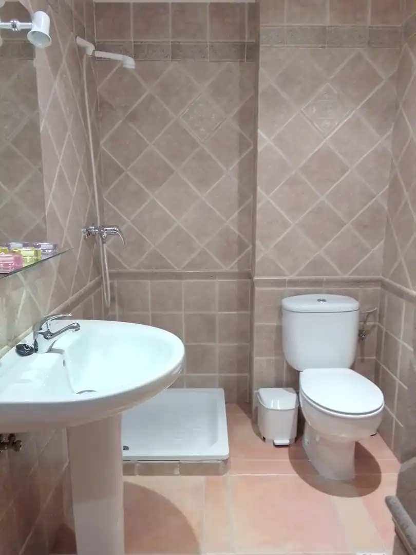 Baño de Casa o chalet en venta en Prado del Rey con Jardín privado, Terraza y Amueblado