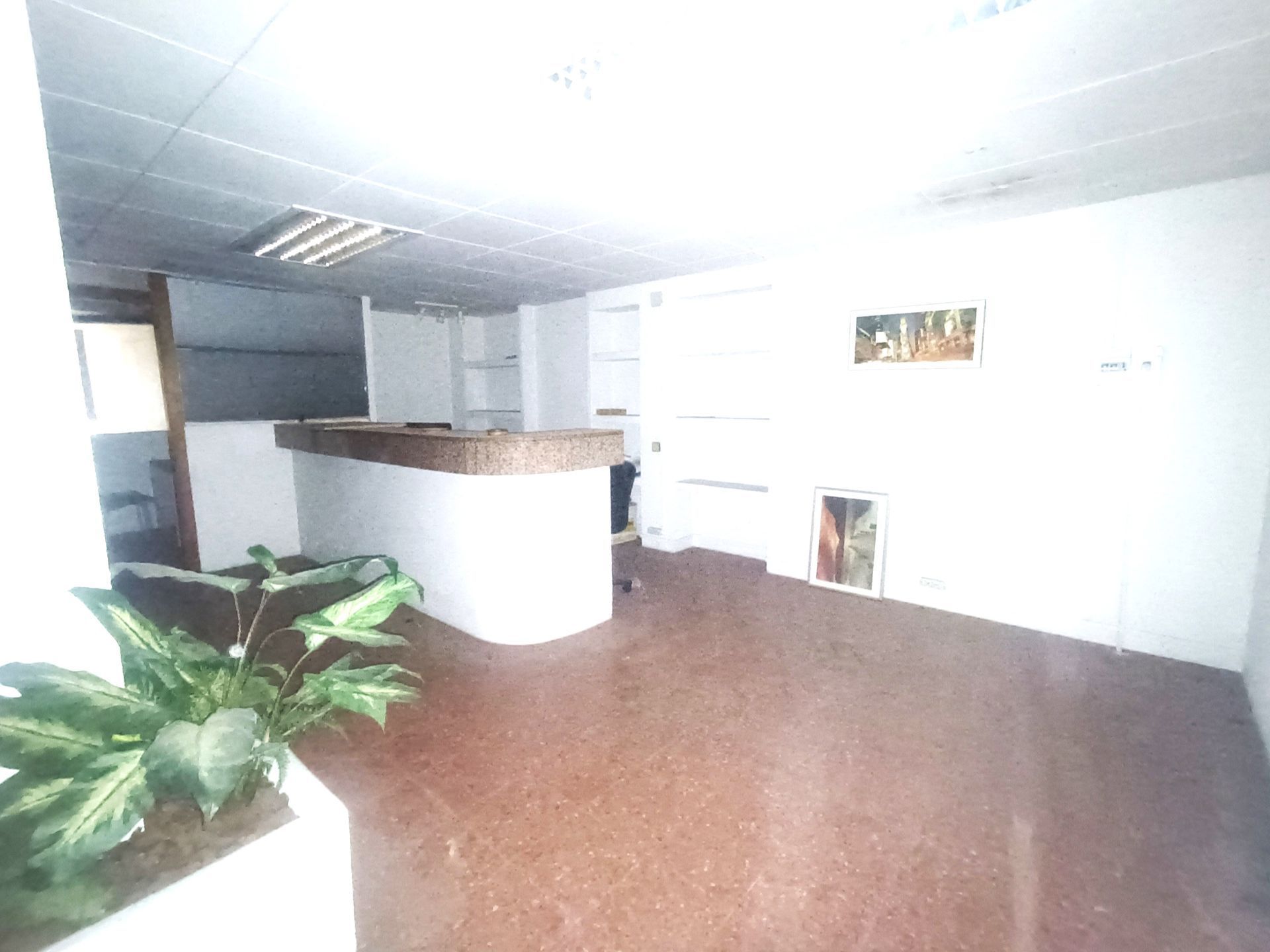 Premises to rent in Badalona