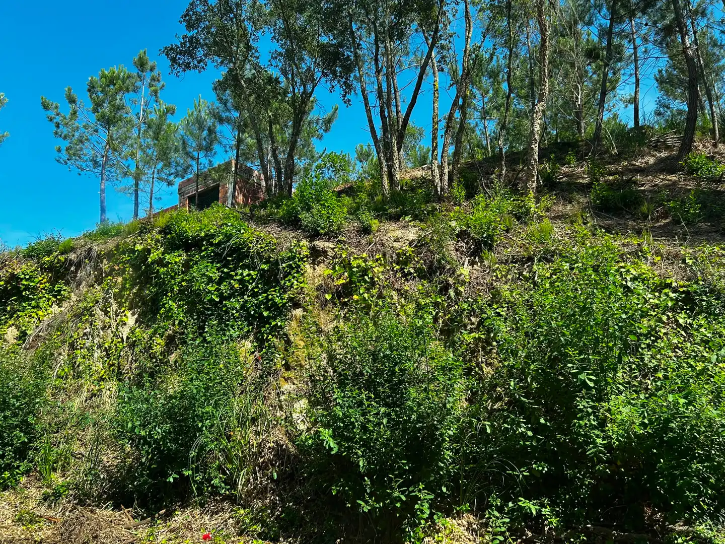 Terreno residencial en venta en Lloret Blau - La Creu de Lloret, imagen 7
