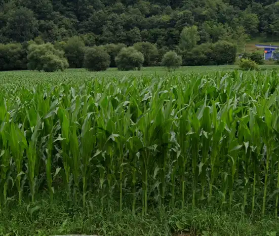 Terreni e lotti in vendita a Vega de Cotranquil, imagen 10