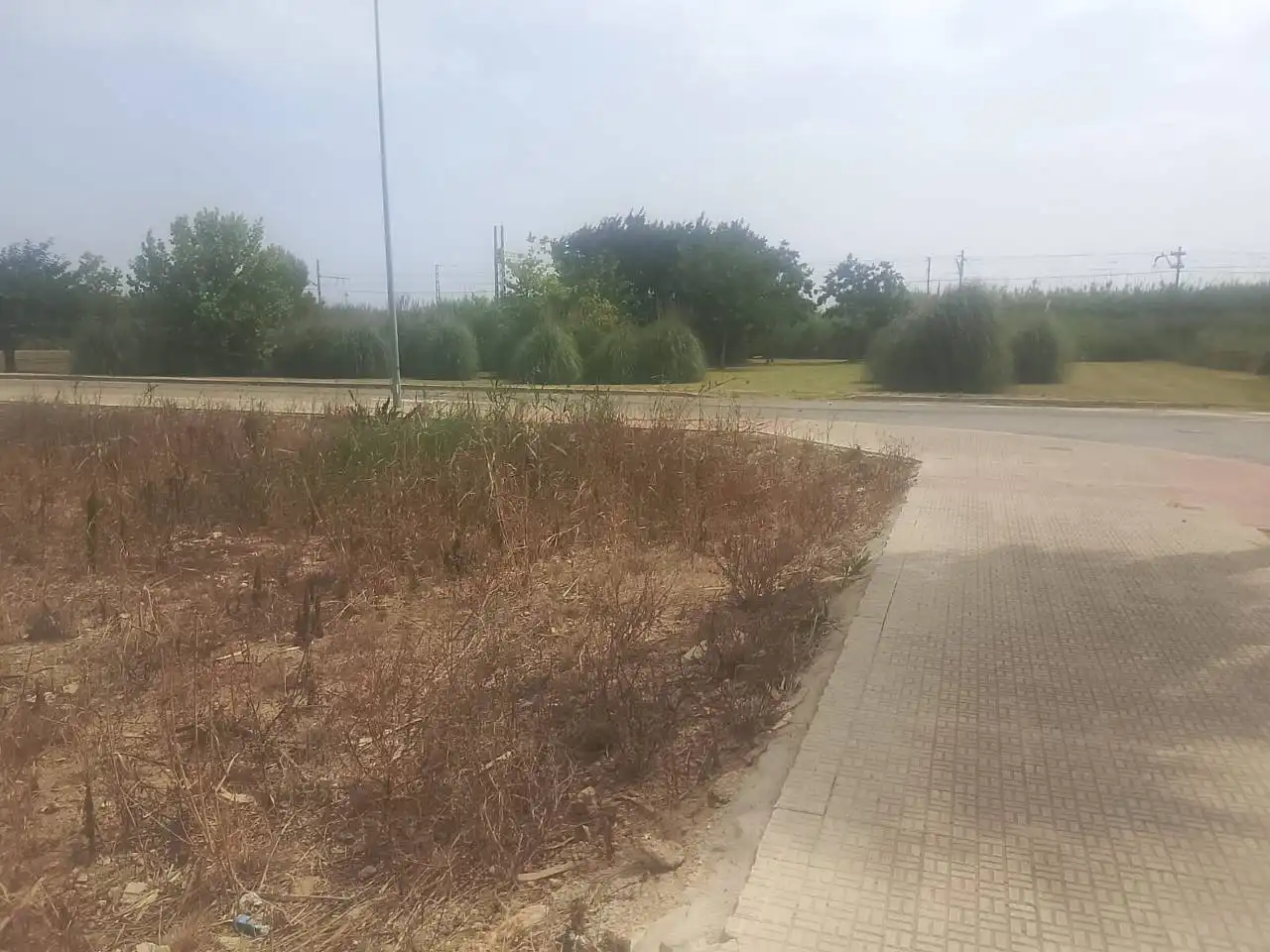 Industrial land for sale in Calle Estacio, imagen 2