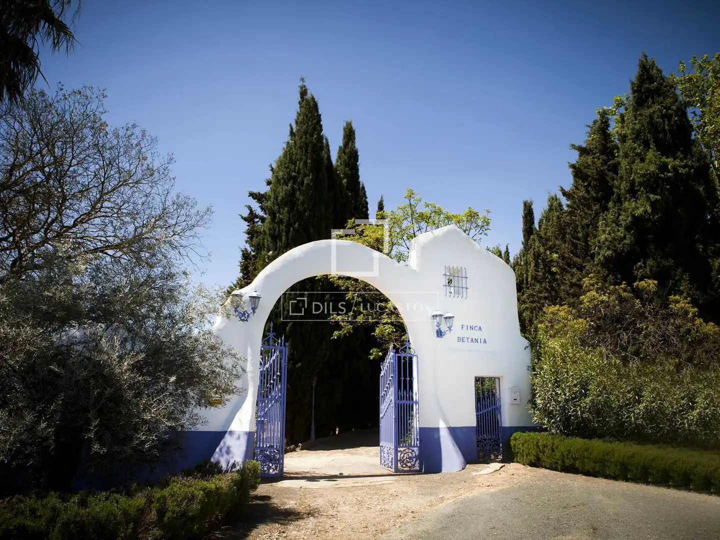 Vista exterior de Finca rústica en venda en Archidona amb Aire condicionat, Calefacció i Jardí privat