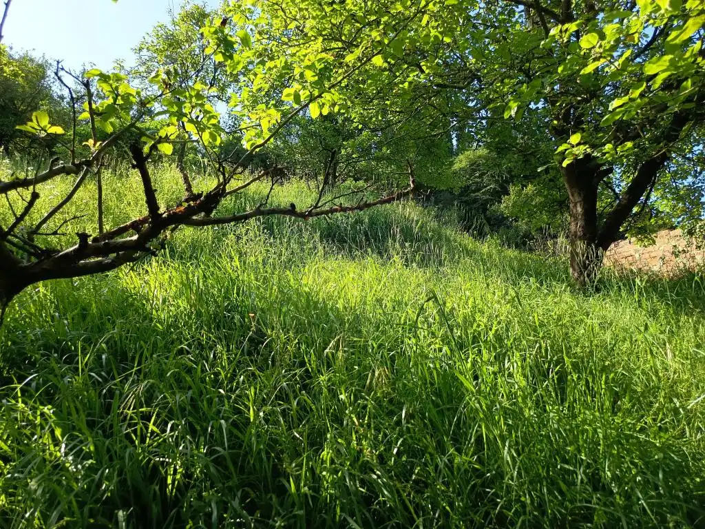 Terreno en venta en Avilés