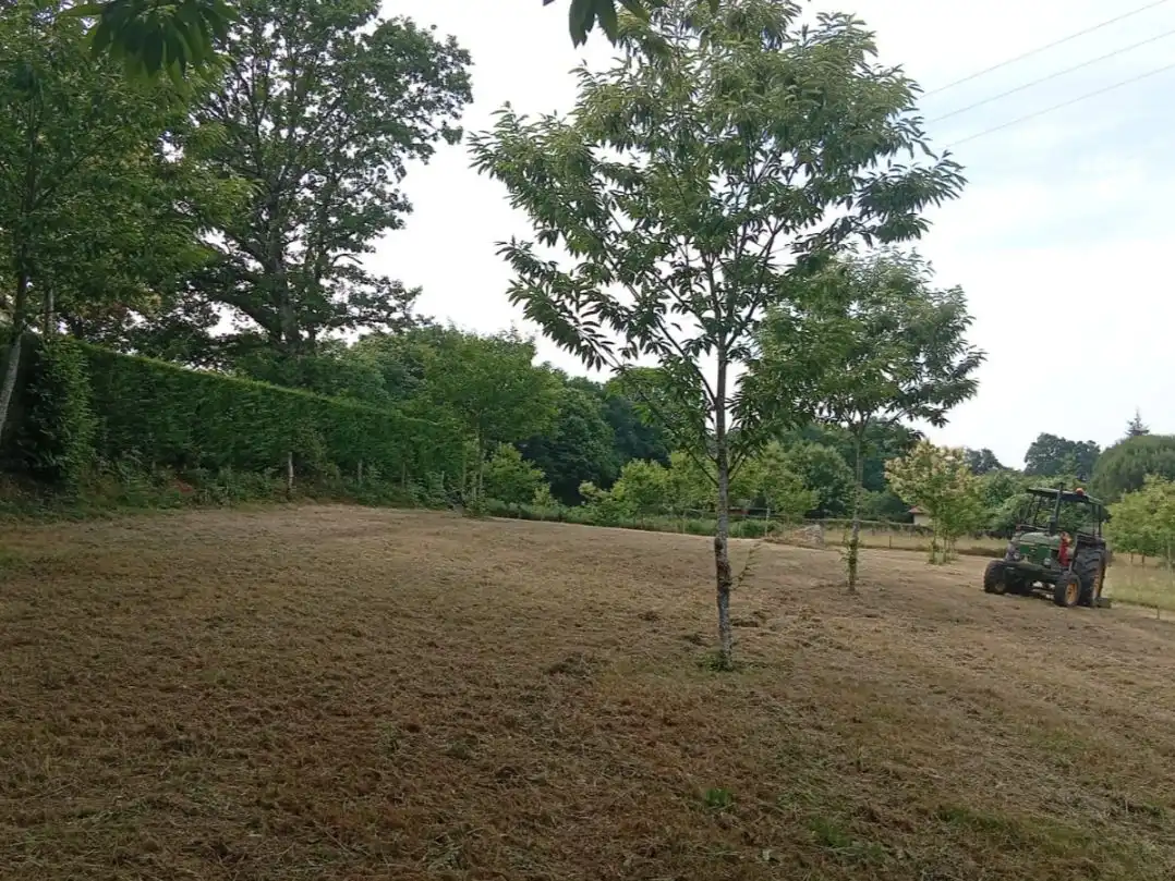 Residential for sale in Curtis