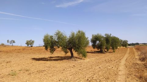 Foto 2 de Residencial en venta en Villarrasa, Huelva