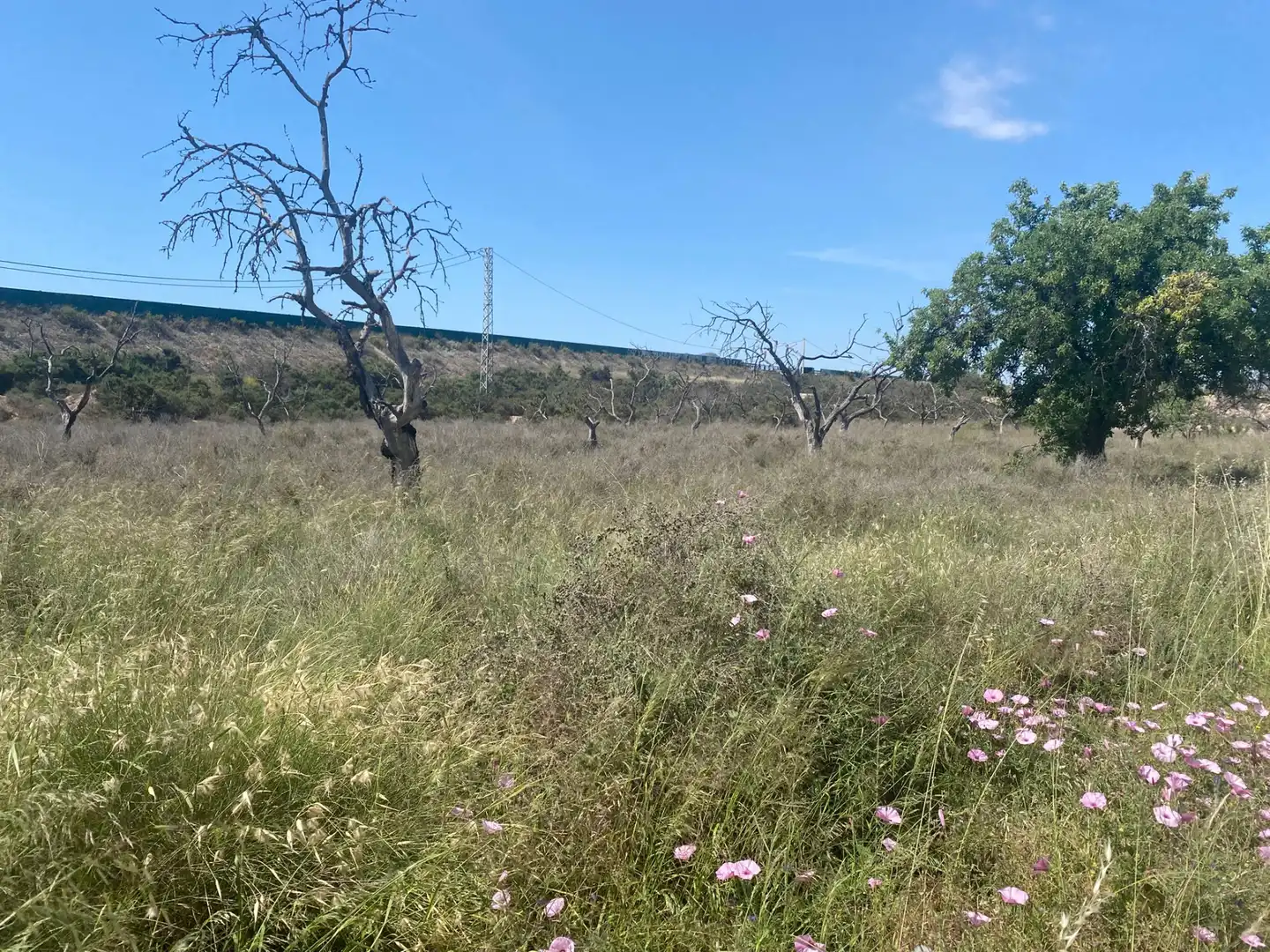 Land for sale in San Vicente del Raspeig / Sant Vicent del Raspeig