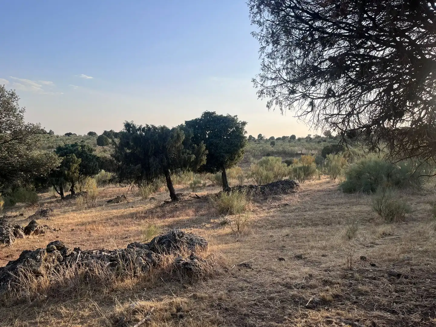 Terrain rustique à vendre à Colmenarejo, imagen 7
