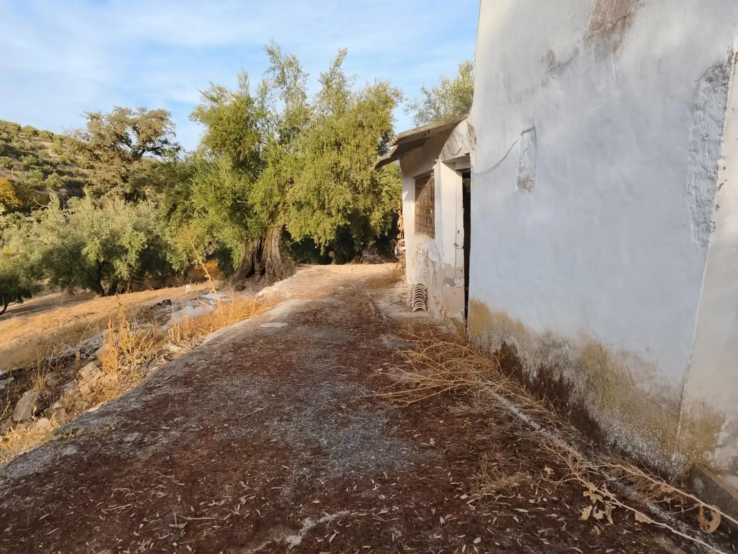 Vista exterior de Finca rústica en venta en Iznájar
