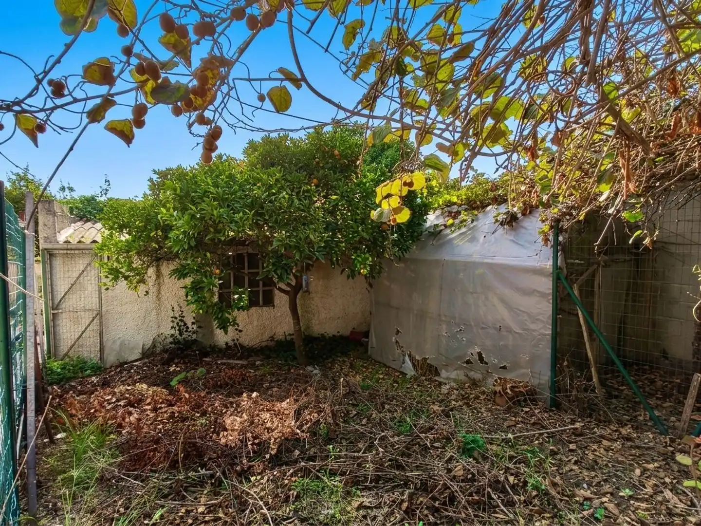 Villa avec jardin à vendre à Calle Vilarrodís, imagen 53