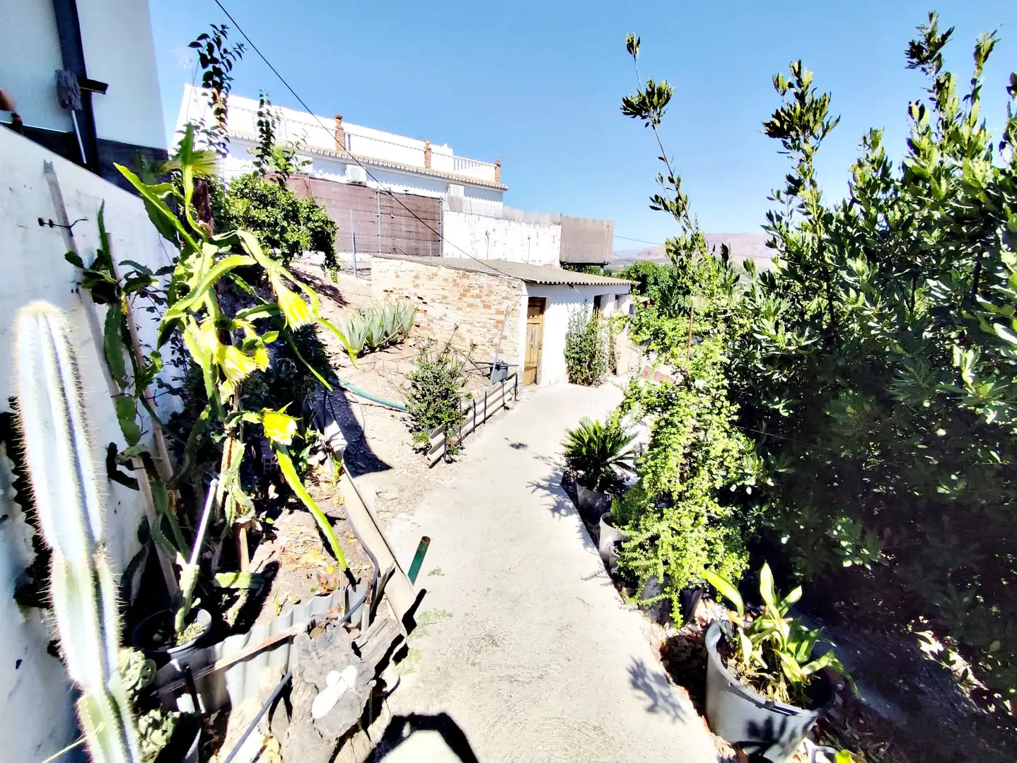 Maison rustique avec jardin à vendre à Casalpalma - Fahala, imagen 23