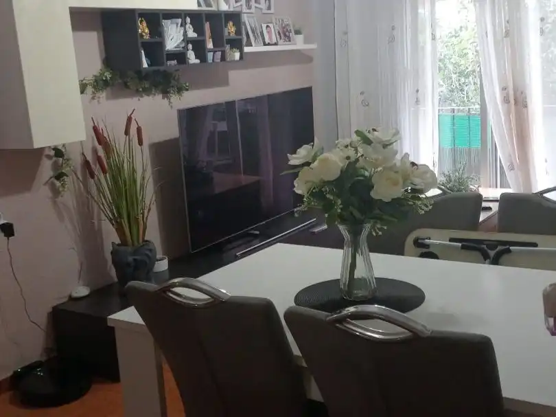 Sala d'estar de Pis en venda en Alicante / Alacant amb Terrassa i Balcó