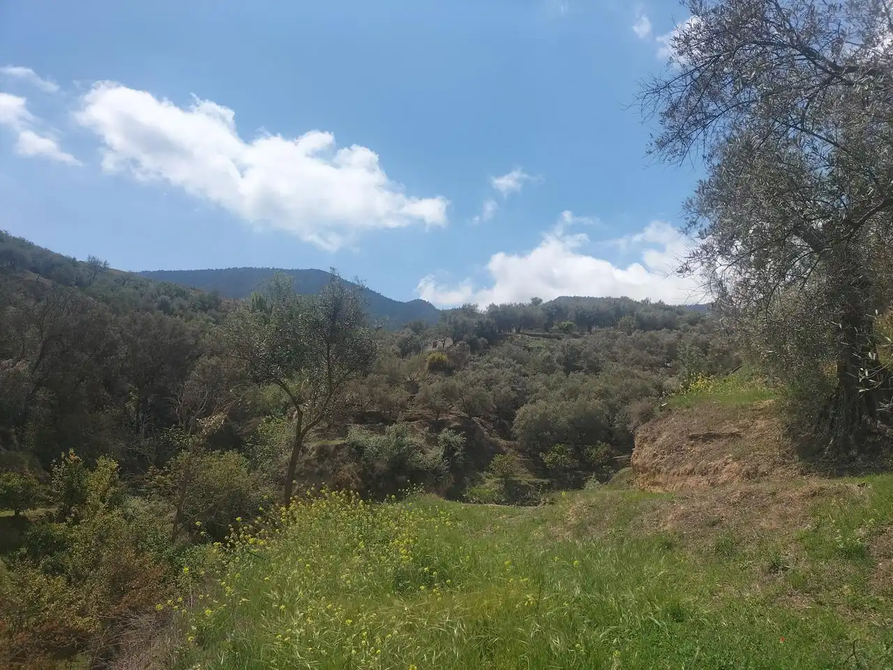 Casa rustica in vendita a El Valle, imagen 6