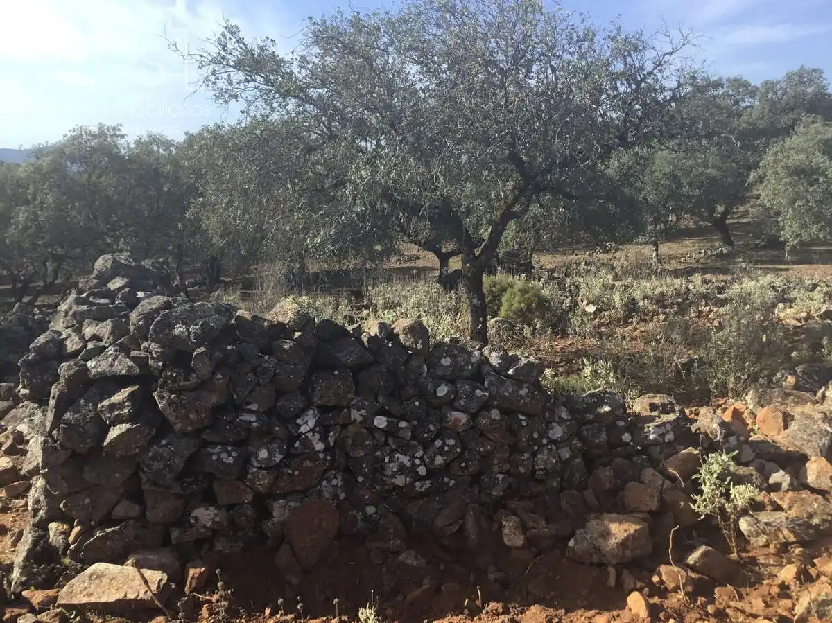 Terreni e lotti in vendita a Cazalla de la Sierra, imagen 19