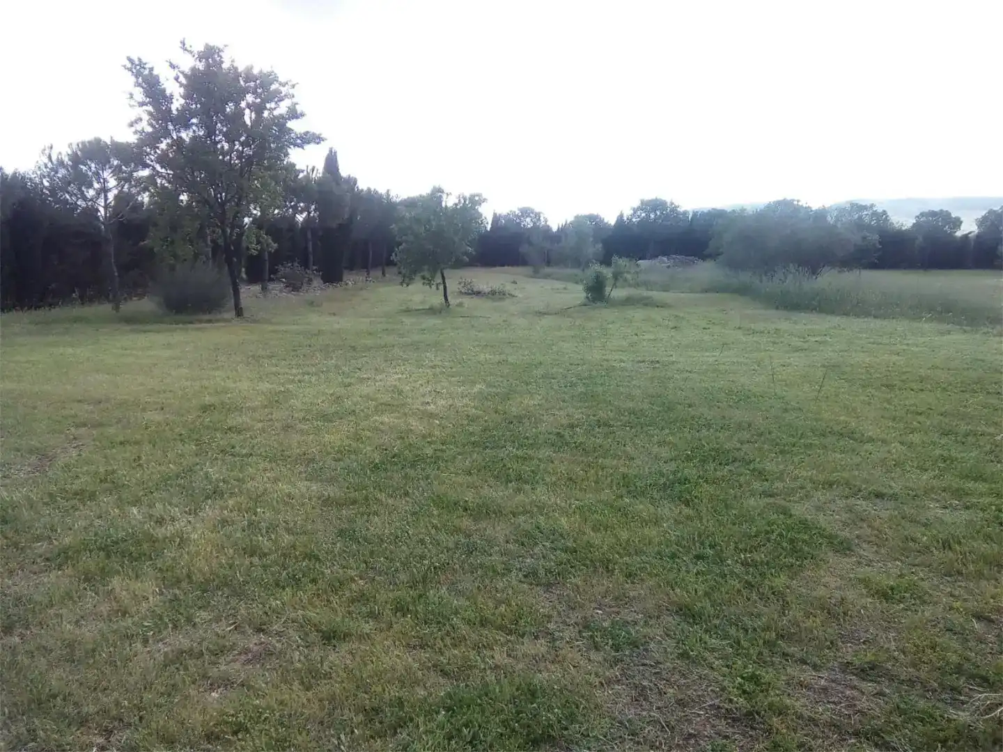Land for sale in Moral de Calatrava