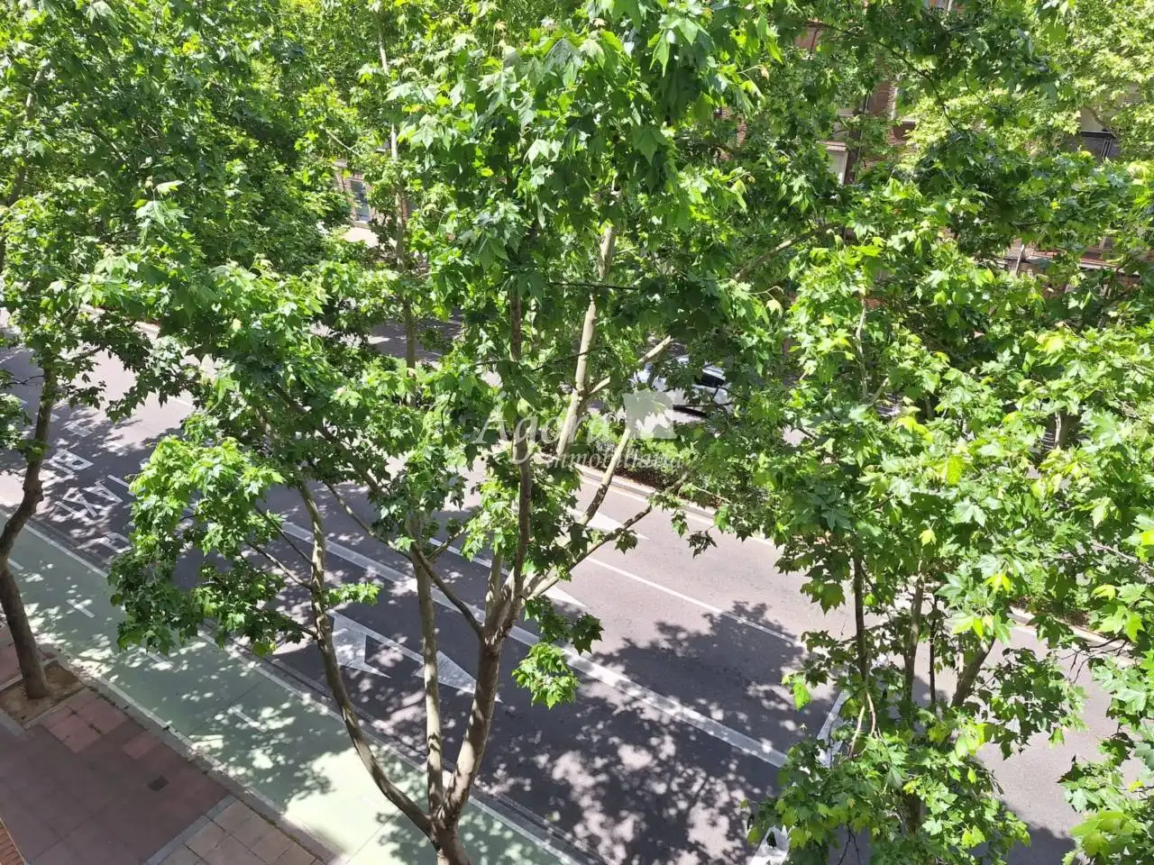 Vista exterior de Pis en venda en Valladolid amb Calefacció, Parquet i Terrassa