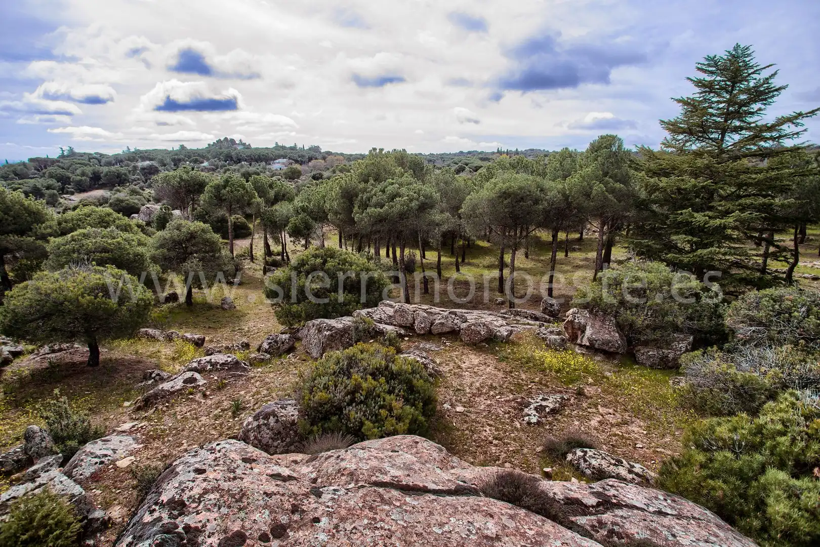 Casa o chalet en venta en Puerto de Galapagar - Las Cuestas