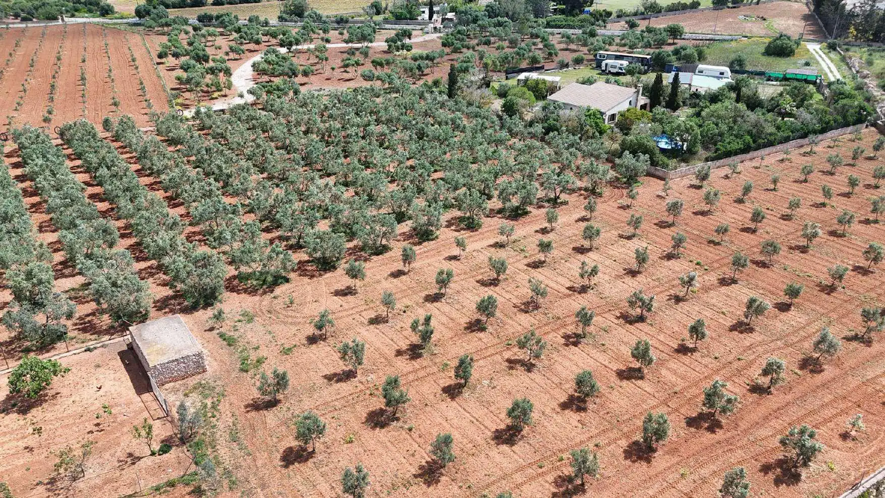 Terreno rustico in vendita a Ronda de Ponent 70, imagen 4