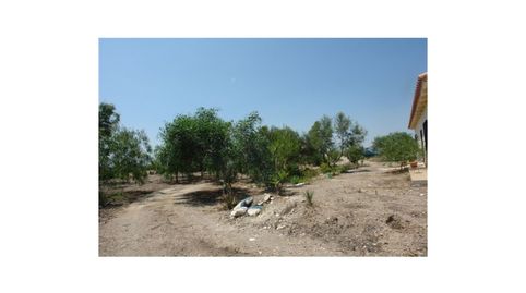 Foto 3 de Finca rústica en venta en Los Pedregales, Huércal-Overa, Almería