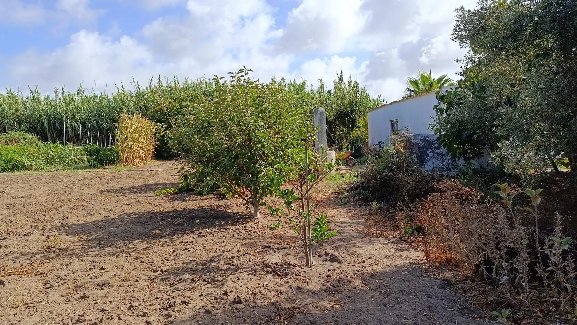 Terreno en venta en Rota