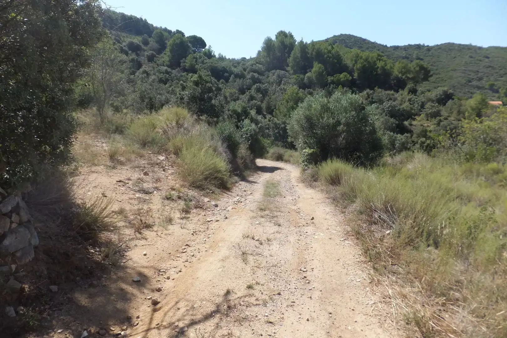 Land for sale in Alforja
