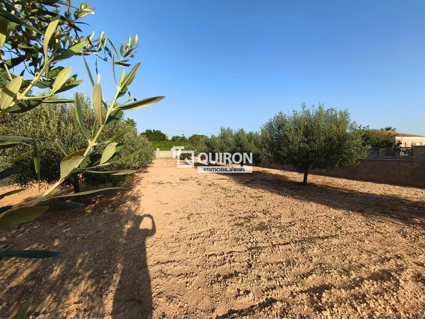 Land for sale in Montferri